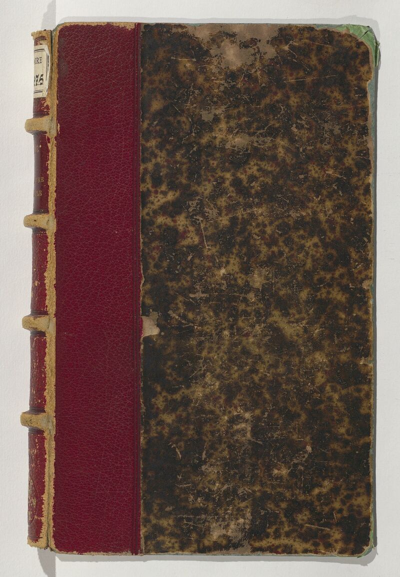 Reliure de l’exemplaire de La Femme pauvre au XIXe siècle numérisé par Gallica